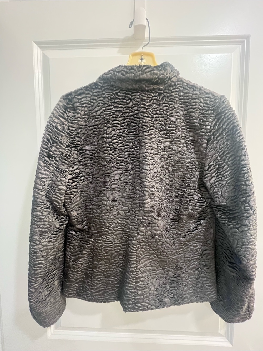 Gray Faux Fur Textured Teddy Jacket - Picture 3 of 4